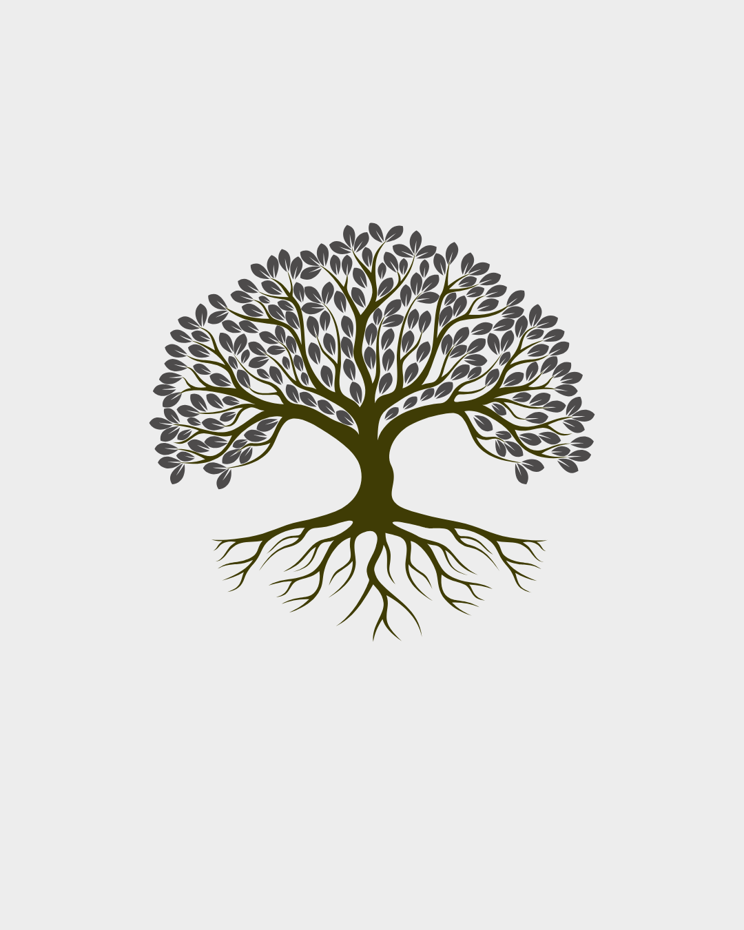 Psychogénéalogie ou comment notre histoire familiale nous impacte.